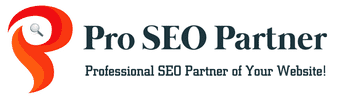 Pro SEO Partner